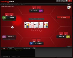Bodog table
